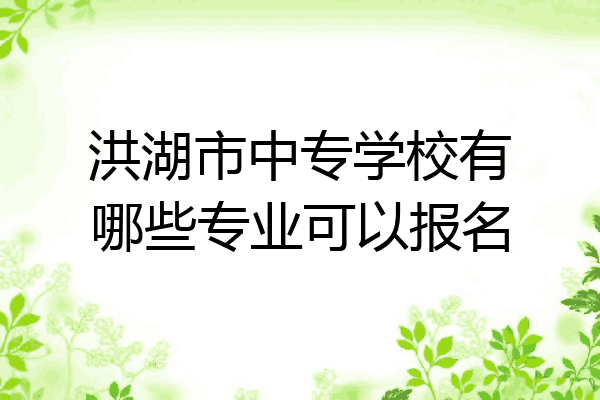 洪湖市中专学校有哪些专业可以报名