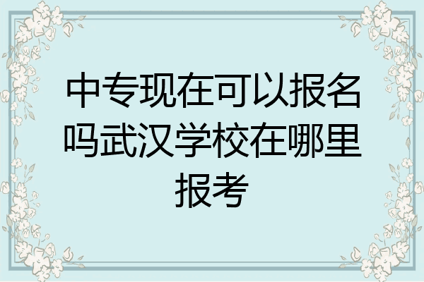中专现在可以报名吗武汉学校在哪里报考