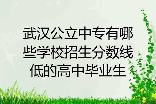 武汉公立中专有哪些学校招生分数线低的高中毕业生