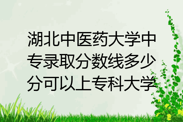 湖北中医药大学中专录取分数线多少分可以上专科大学
