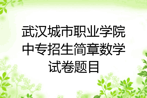 武汉城市职业学院中专招生简章数学试卷题目