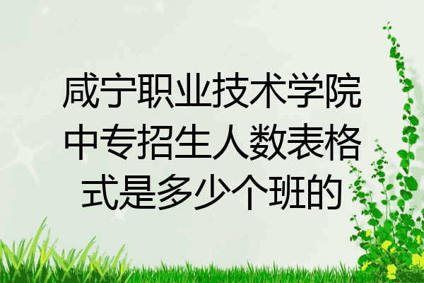 咸宁职业技术学院中专招生人数表格式是多少个班的