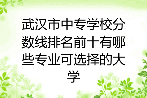 武汉市中专学校分数线排名前十有哪些专业可选择的大学