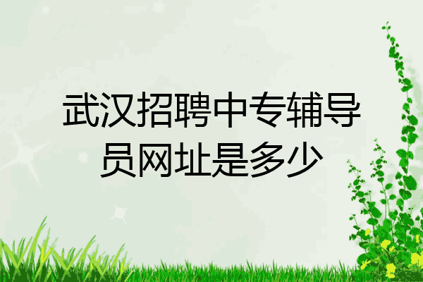武汉招聘中专辅导员网址是多少