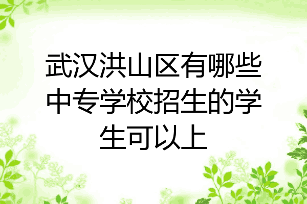 武汉洪山区有哪些中专学校招生的学生可以上