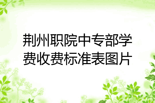 荆州职院中专部学费收费标准表图片