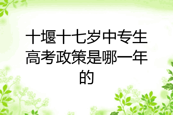 十堰十七岁中专生高考政策是哪一年的