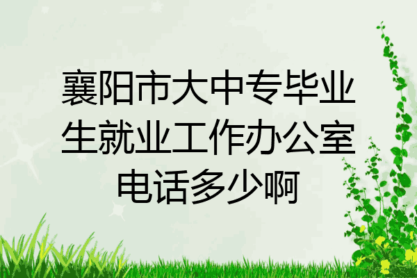 襄阳市大中专毕业生就业工作办公室电话多少啊