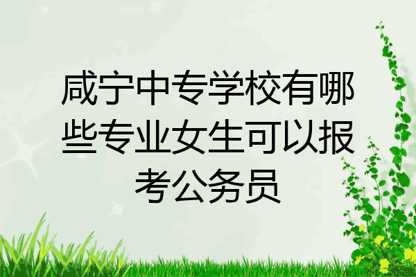 咸宁中专学校有哪些专业女生可以报考公务员