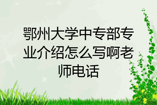 鄂州大学中专部专业介绍怎么写啊老师电话