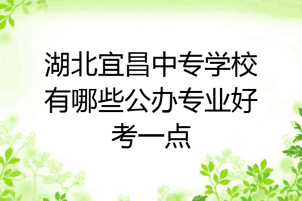 湖北宜昌中专学校有哪些公办专业好考一点