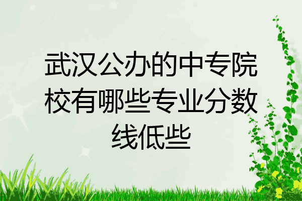 武汉公办的中专院校有哪些专业分数线低些