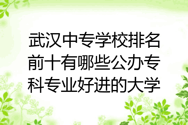 武汉中专学校排名前十有哪些公办专科专业好进的大学