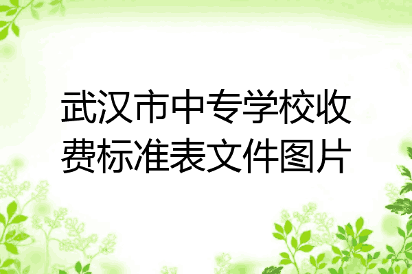 武汉市中专学校收费标准表文件图片