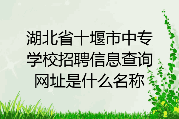 湖北省十堰市中专学校招聘信息查询网址是什么名称