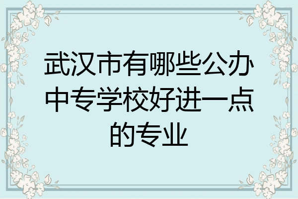 武汉市有哪些公办中专学校好进一点的专业