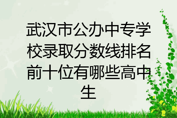 武汉市公办中专学校录取分数线排名前十位有哪些高中生