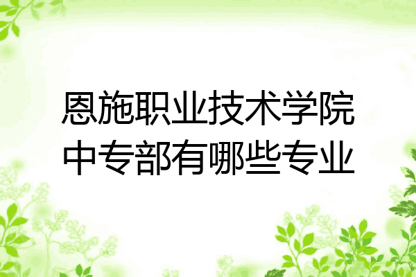 恩施职业技术学院中专部有哪些专业