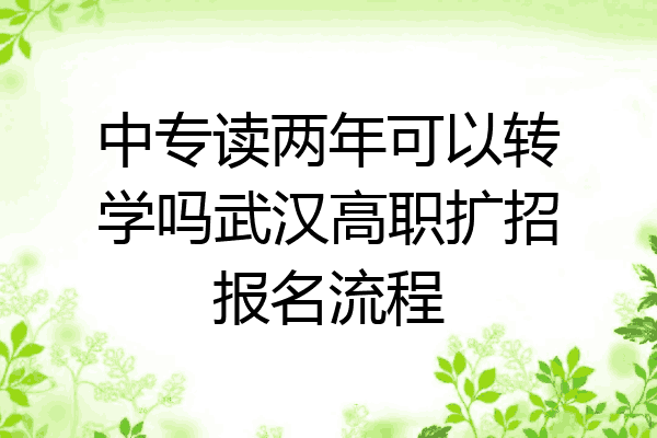 中专读两年可以转学吗武汉高职扩招报名流程