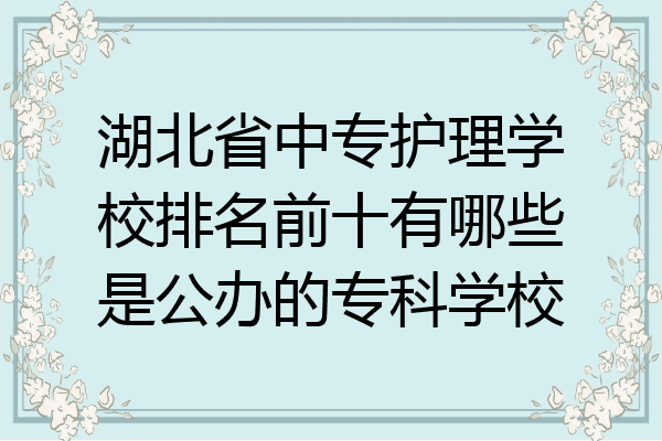 湖北省中专护理学校排名前十有哪些是公办的专科学校