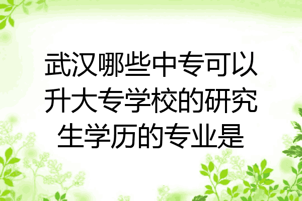武汉哪些中专可以升大专学校的研究生学历的专业是