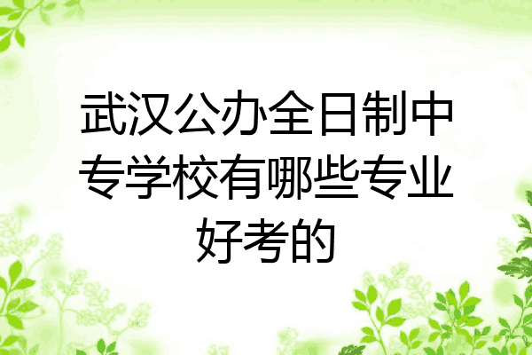 武汉公办全日制中专学校有哪些专业好考的
