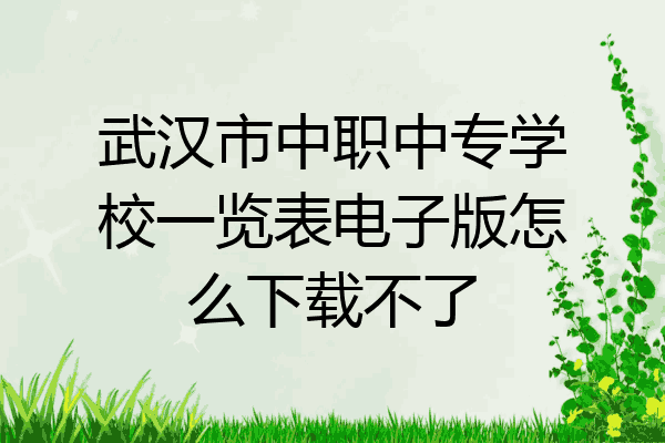 武汉市中职中专学校一览表电子版怎么下载不了
