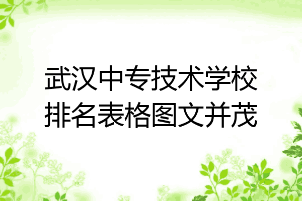 武汉中专技术学校排名表格图文并茂