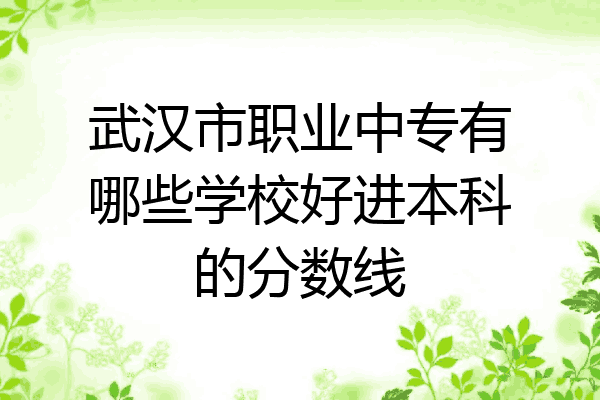 武汉市职业中专有哪些学校好进本科的分数线