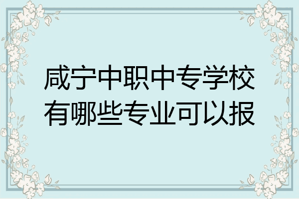 咸宁中职中专学校有哪些专业可以报