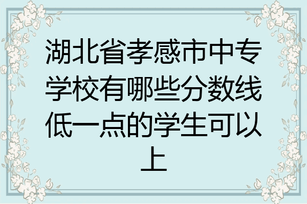 湖北省孝感市中专学校有哪些分数线低一点的学生可以上