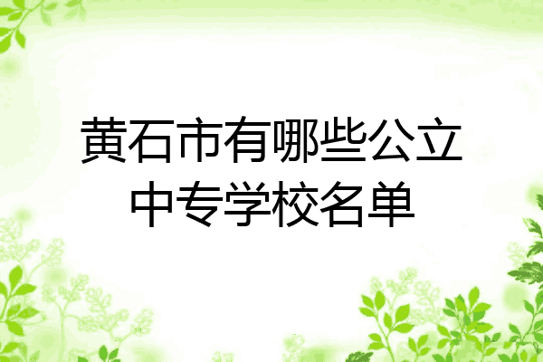 黄石市有哪些公立中专学校名单