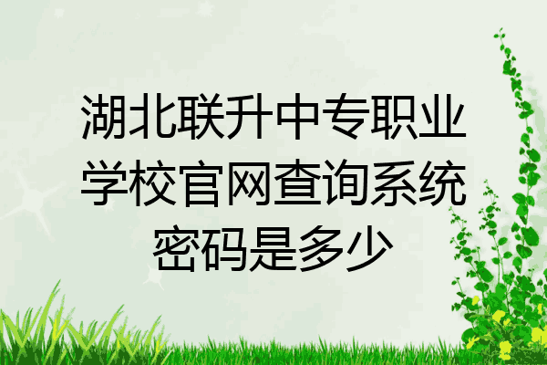 湖北联升中专职业学校官网查询系统密码是多少