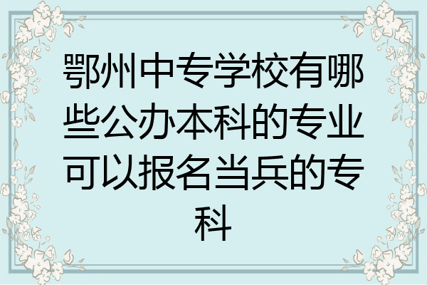 鄂州中专学校有哪些公办本科的专业可以报名当兵的专科