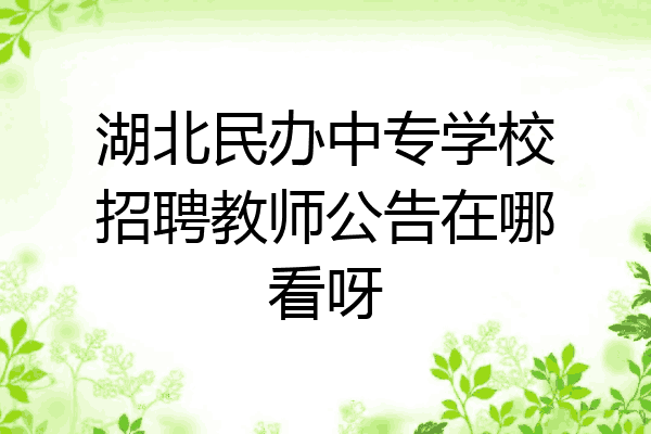 湖北民办中专学校招聘教师公告在哪看呀