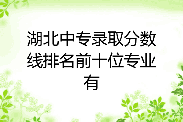 湖北中专录取分数线排名前十位专业有