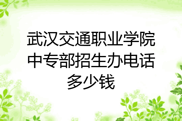 武汉交通职业学院中专部招生办电话多少钱