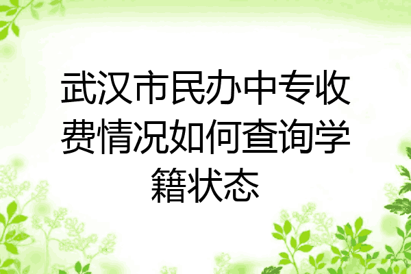 武汉市民办中专收费情况如何查询学籍状态