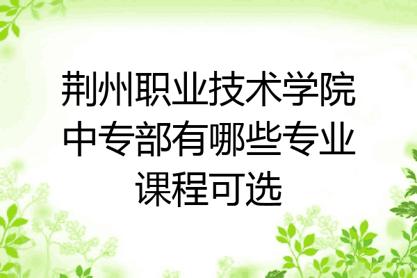 荆州职业技术学院中专部有哪些专业课程可选