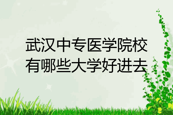 武汉中专医学院校有哪些大学好进去
