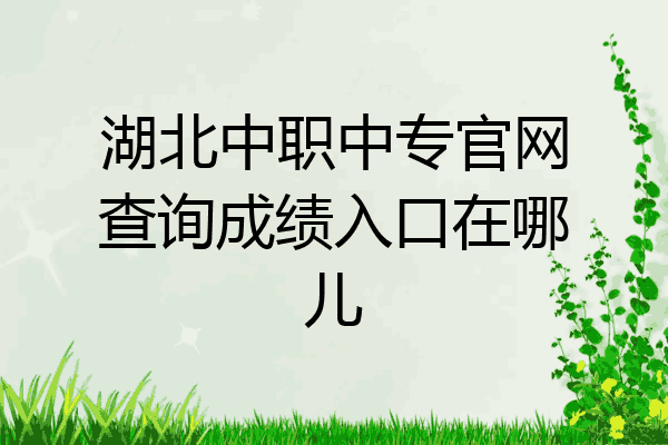 湖北中职中专官网查询成绩入口在哪儿