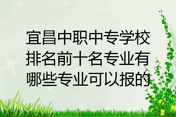 宜昌中职中专学校排名前十名专业有哪些专业可以报的