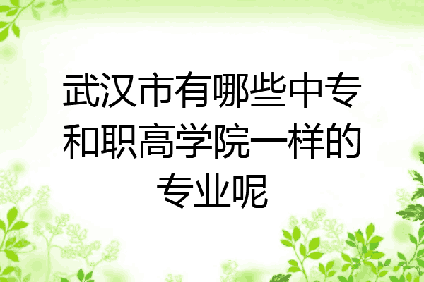 武汉市有哪些中专和职高学院一样的专业呢