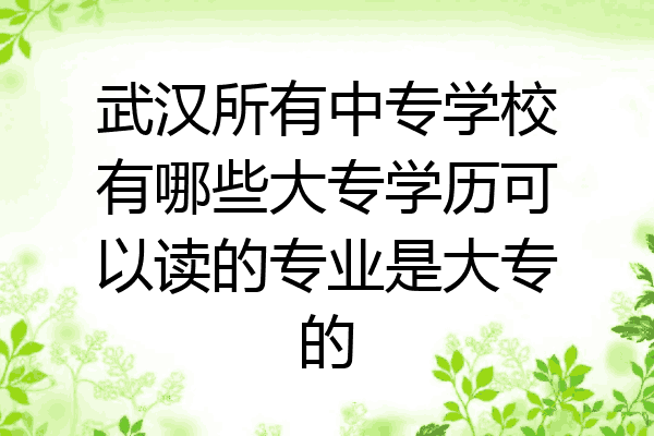 武汉所有中专学校有哪些大专学历可以读的专业是大专的