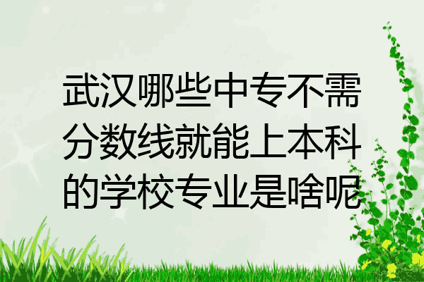 武汉哪些中专不需分数线就能上本科的学校专业是啥呢