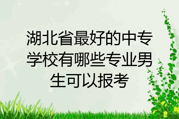 湖北省最好的中专学校有哪些专业男生可以报考