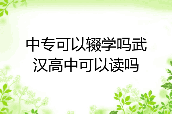 中专可以辍学吗武汉高中可以读吗