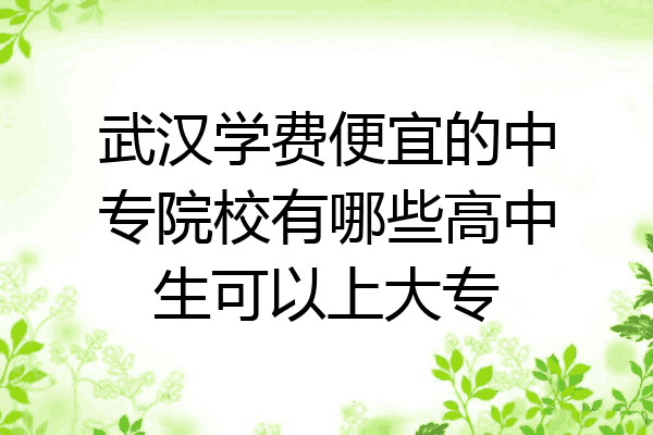 武汉学费便宜的中专院校有哪些高中生可以上大专