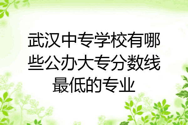武汉中专学校有哪些公办大专分数线最低的专业