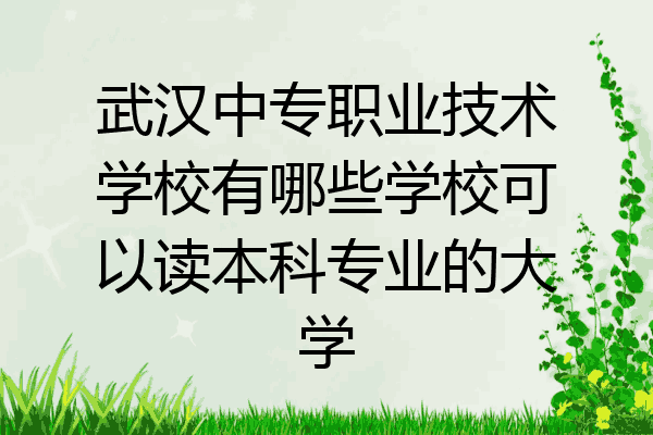 武汉中专职业技术学校有哪些学校可以读本科专业的大学